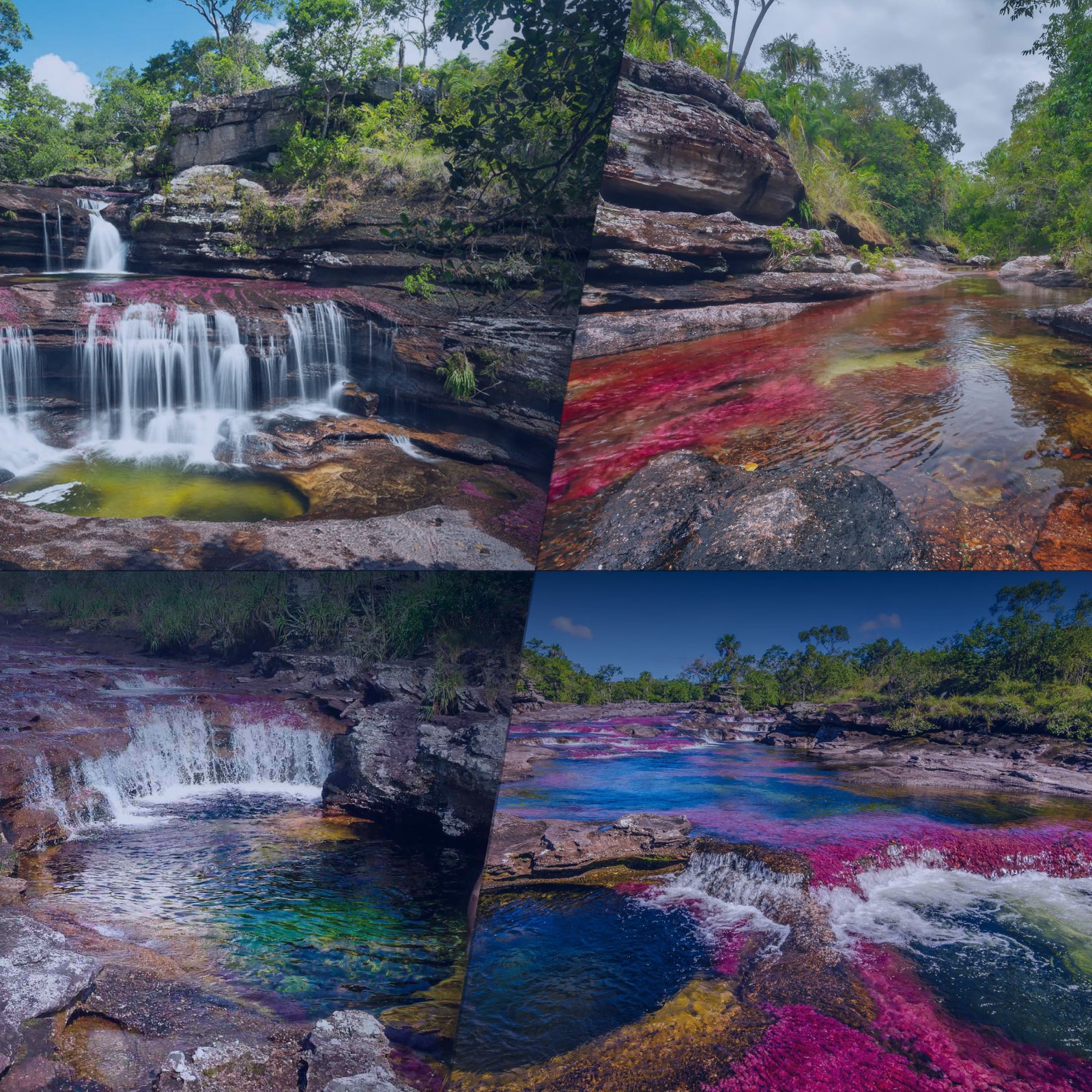 Caño-cristales-6