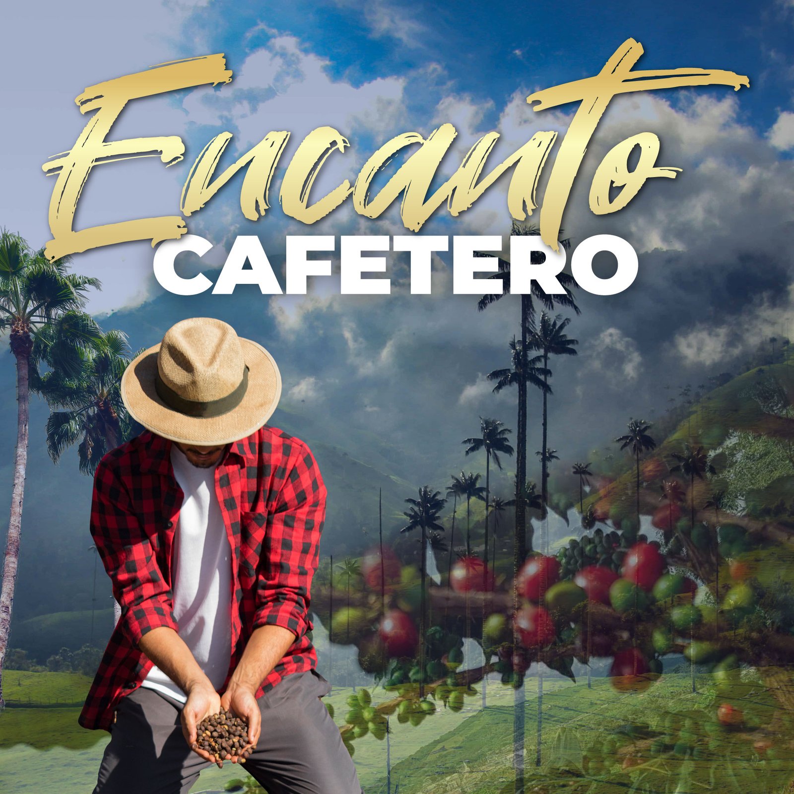 Eje-cafetero-4